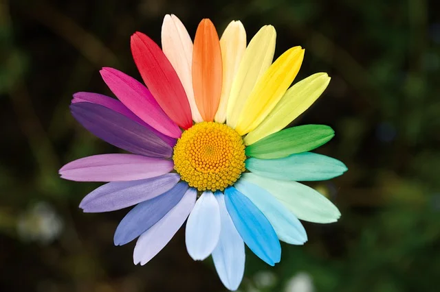fleur-arc-en-ciel nettoyage énergétique maison