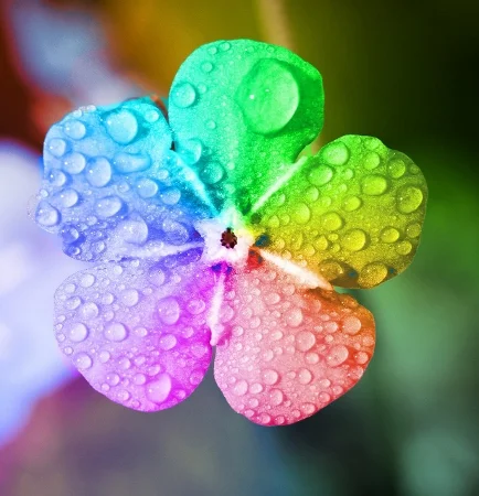 rainbow-5151724_1280-434x450-1